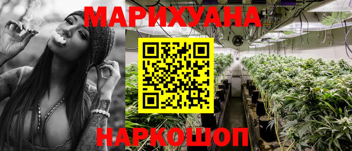Конопля гибрид Павловский Посад